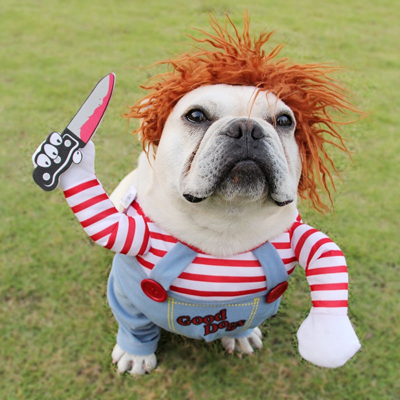 MASCOTAS